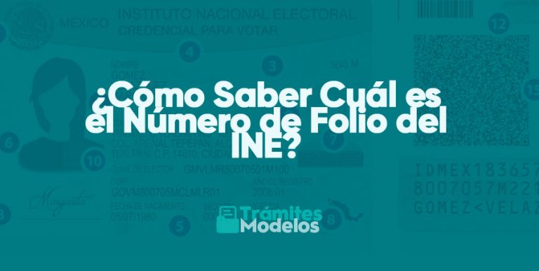 ¿cómo Saber Cuál Es El Número De Folio Del Ine Trámites Yemk 3440