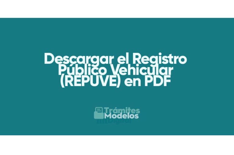 Descargar El Registro Público Vehicular Repuve En Pdf Guía Completa