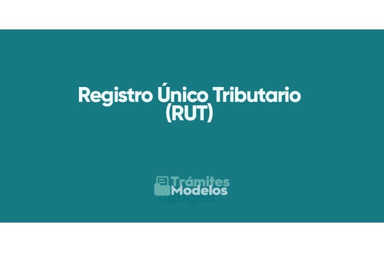 Registro Único Tributario Rut Todo Lo Que Necesitas Saber