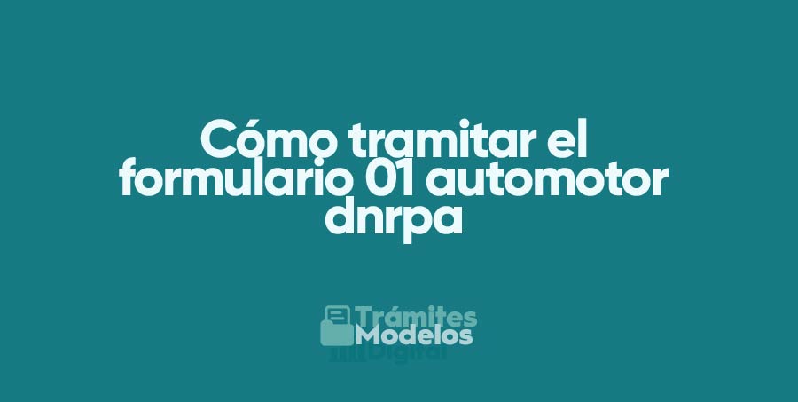 Cómo tramitar el Formulario 01 DNRPA Automotor