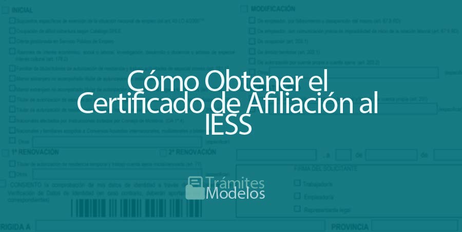 Cómo Obtener el Certificado de Afiliación al IESS