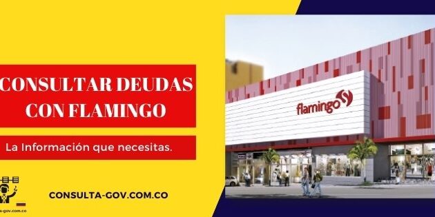 Estado De Cuenta Flamingo: Proceso De Registro