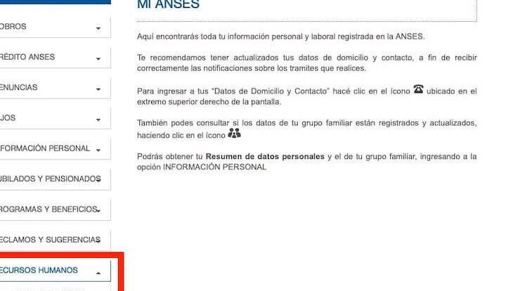 Trabajar En ANSES ¿Cuáles Son Los Requisitos?